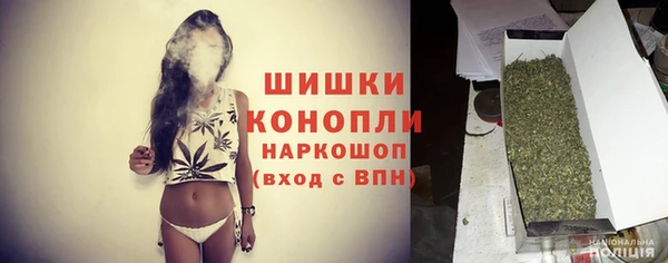 PSILOCYBIN Армянск