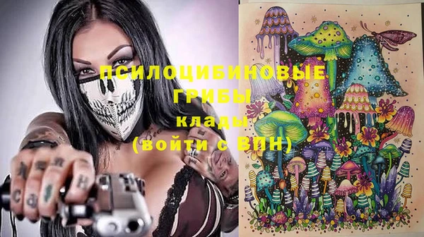 apvp Алексин