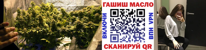 что такое   Междуреченск  ТГК гашишное масло 