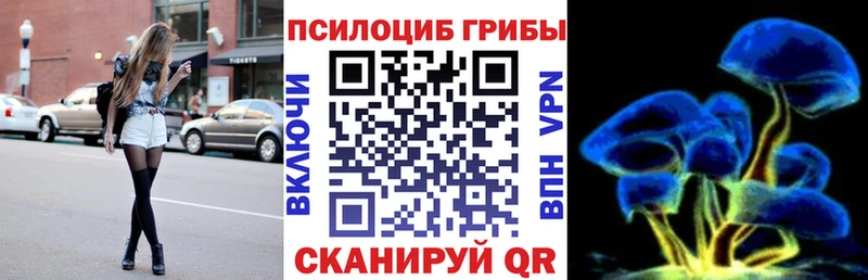 Галлюциногенные грибы Psilocybine cubensis Междуреченск