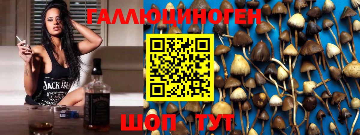 Междуреченск  Псилоцибиновые грибы Psilocybine cubensis  Вход с VPN  Псилоцибиновые грибы прущие грибы 