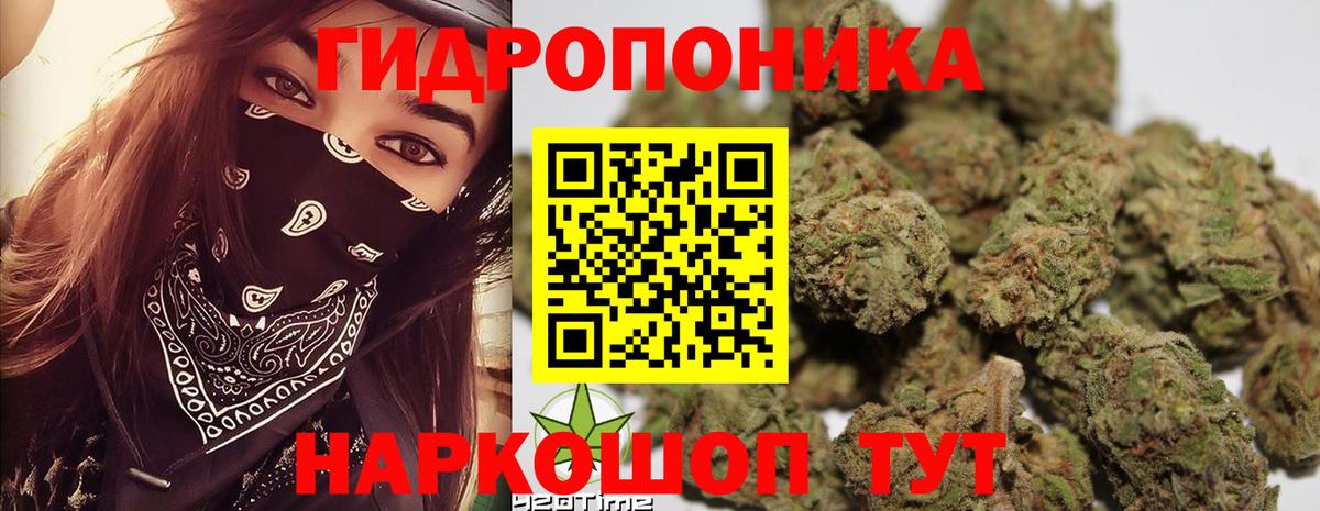 Междуреченск  Бошки марихуана OG Kush  Вход с VPN  Канабис индика  Бошки марихуана гибрид 
